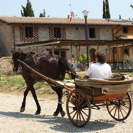 ヴィッキオ Agriturismo La Colombaiaヴィラ エクステリア 写真