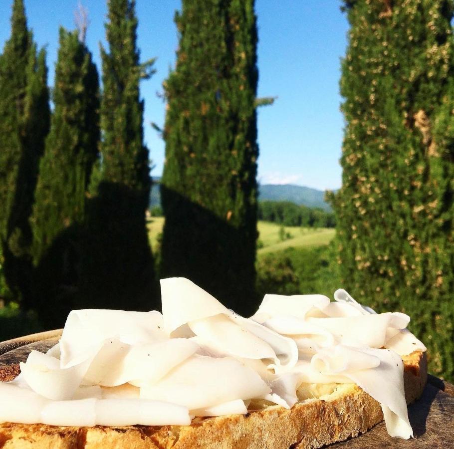 ヴィッキオ Agriturismo La Colombaiaヴィラ エクステリア 写真