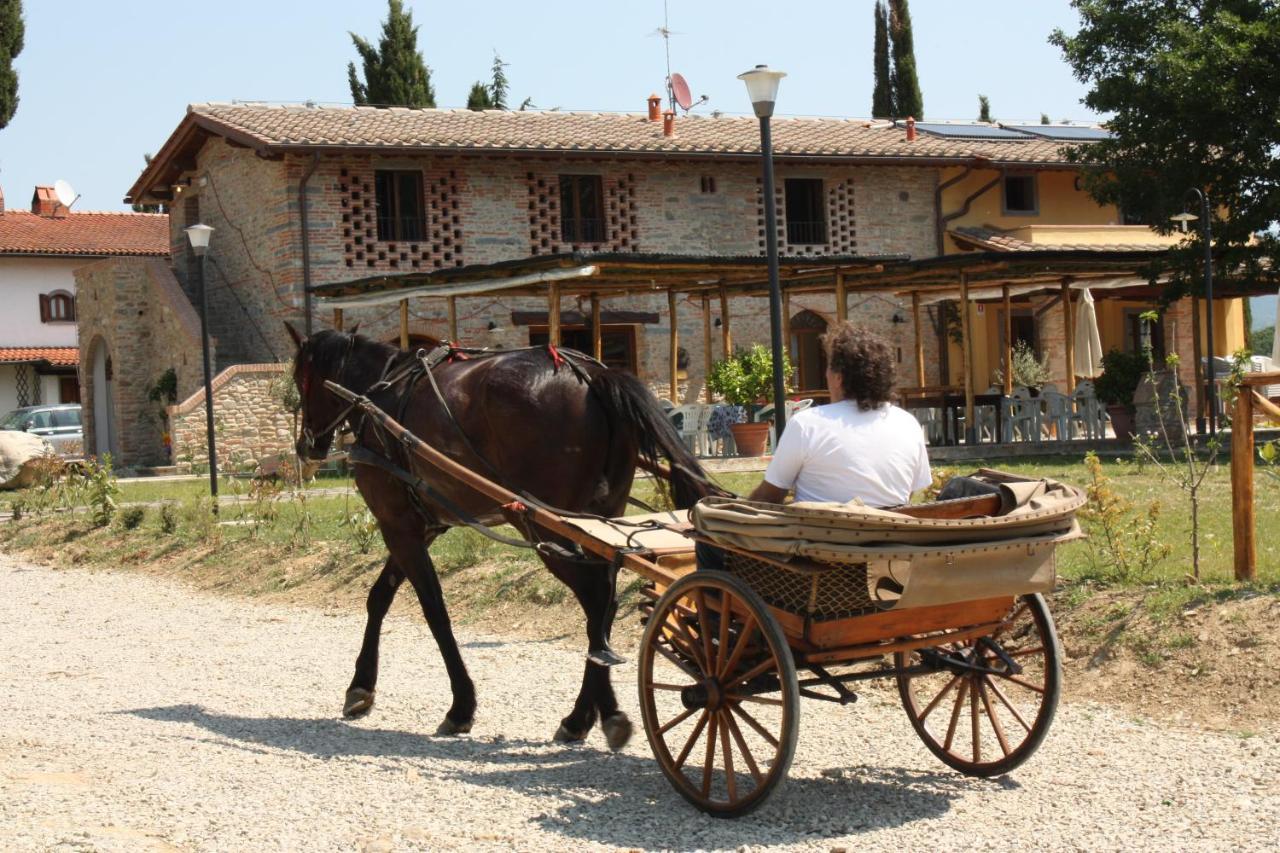 ヴィッキオ Agriturismo La Colombaiaヴィラ エクステリア 写真
