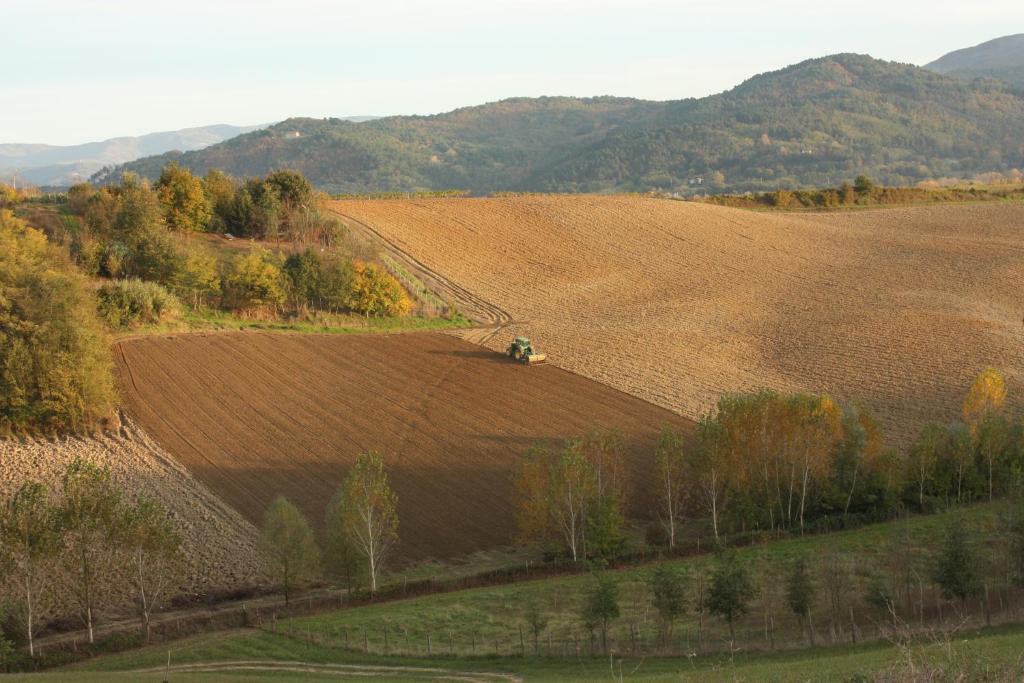 ヴィッキオ Agriturismo La Colombaiaヴィラ エクステリア 写真