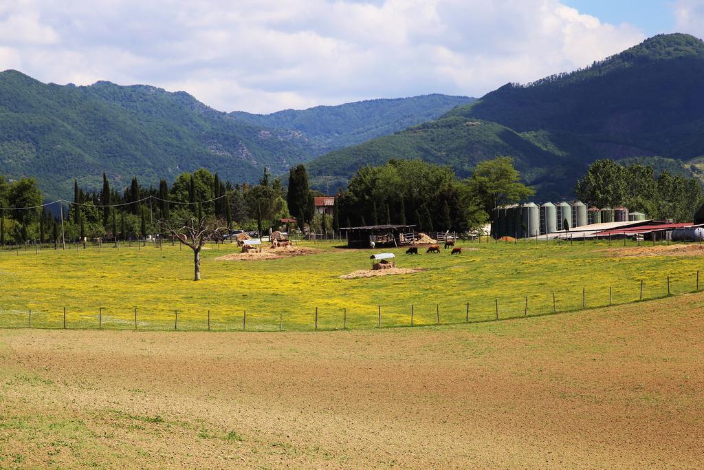 ヴィッキオ Agriturismo La Colombaiaヴィラ エクステリア 写真