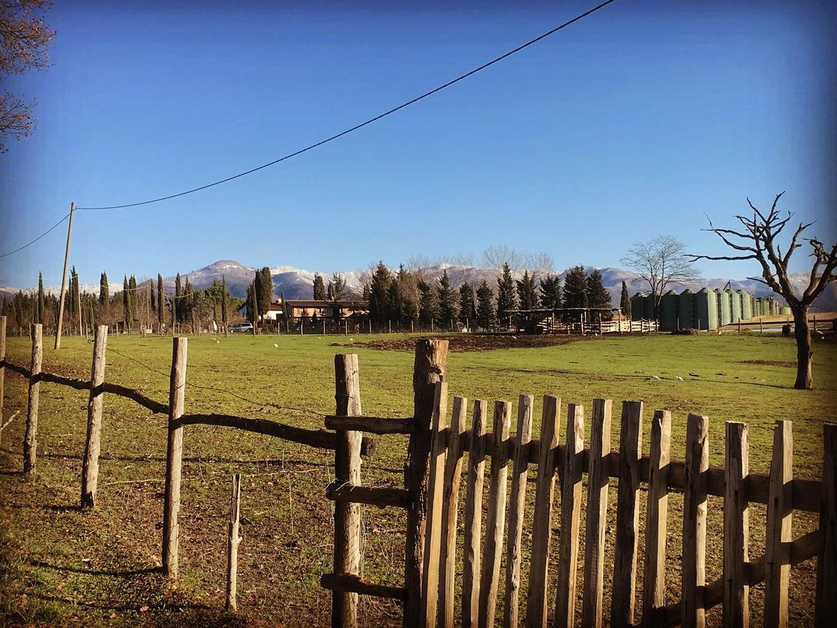 ヴィッキオ Agriturismo La Colombaiaヴィラ エクステリア 写真